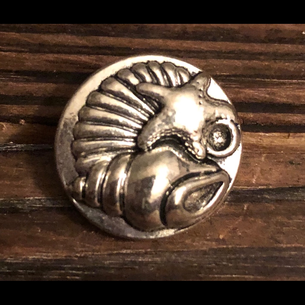 Interchangeable Seashell Snap
